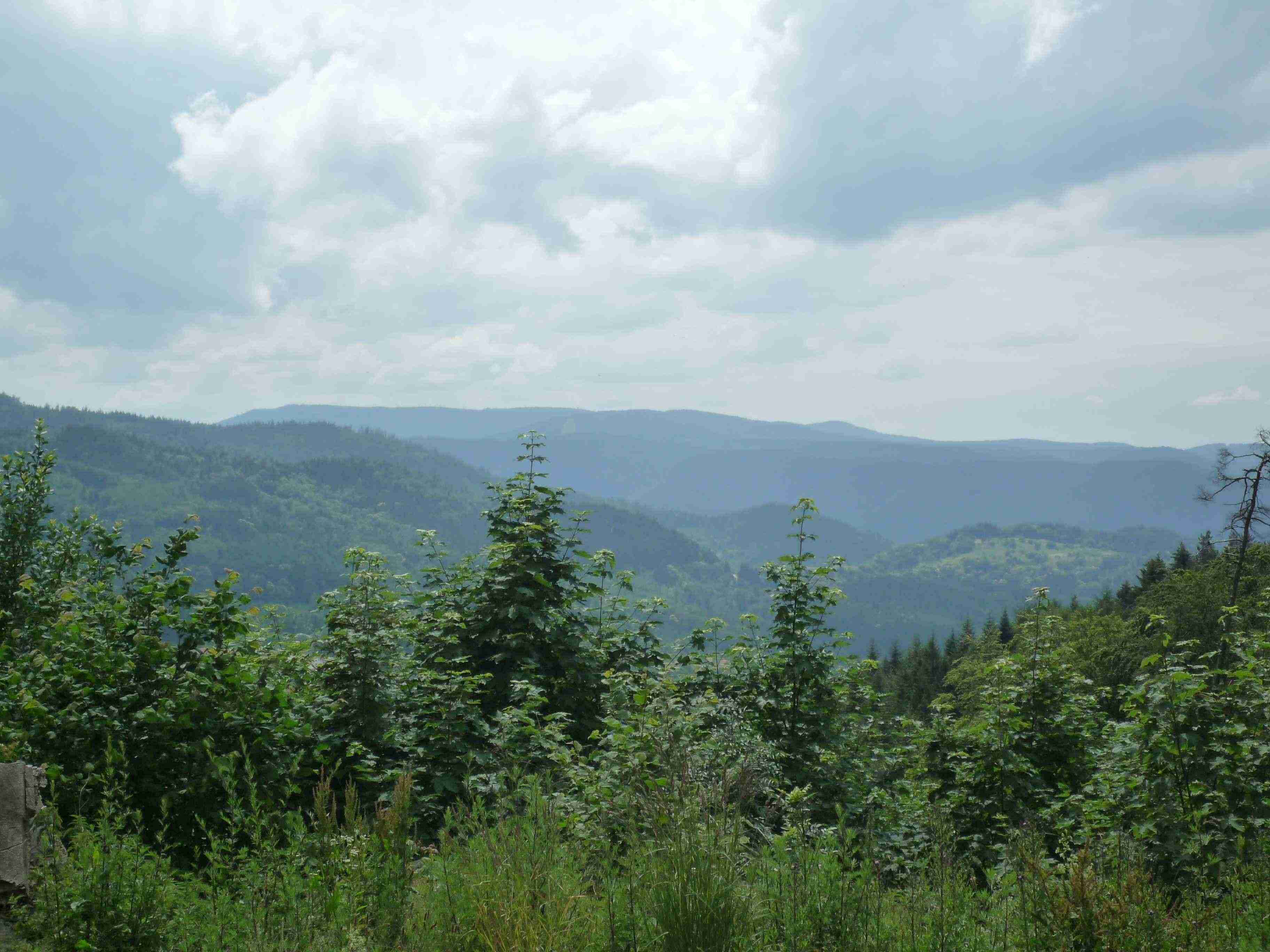 Aussicht Kaepple.jpg